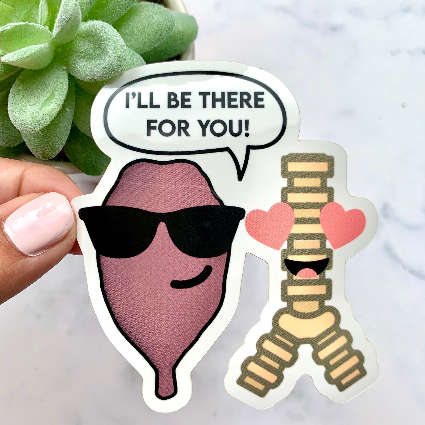 Epiglottis & Larynx Sticker